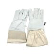Guanti in pelle budget M