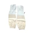 Guanti in pelle budget M