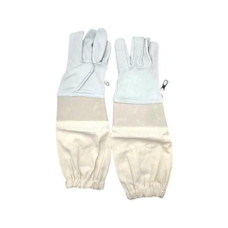 Guanti in pelle budget M