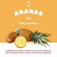 Composto di miele e ananas in vaso da 250 g